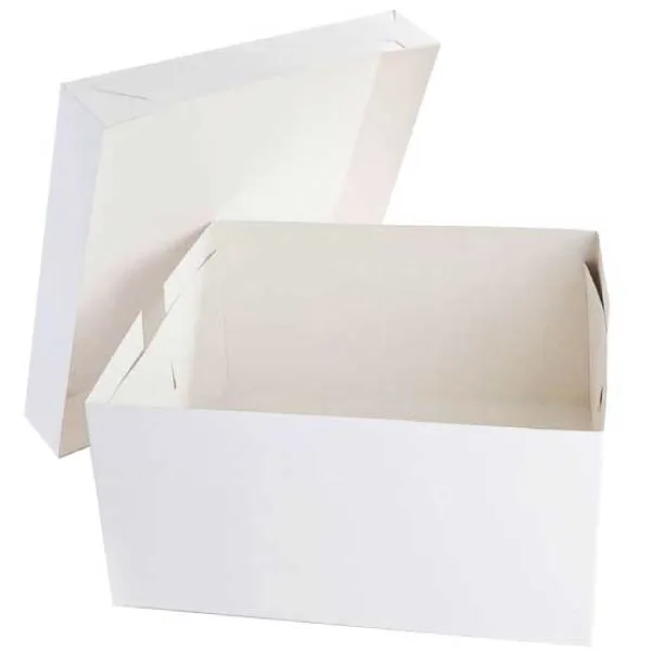 Wholesale Cake Boxes With Lids — 20" Cake Boxes and Lids — 508 × 508 × 152 mm