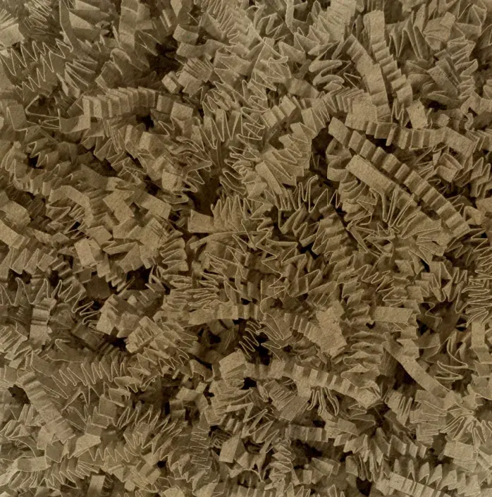 Shredded Paper — Fleck