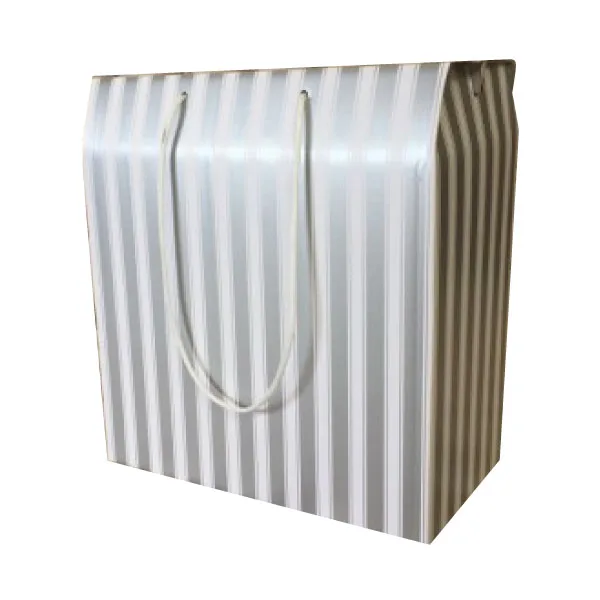 Storage Boxes — Silver — Travel Jet Garment Box — 405 × 195 × 510 mm